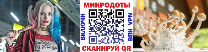магазин  наркотиков  Ленинск-Кузнецкий  площадка телеграм  Галлюциногенные грибы мухоморы 